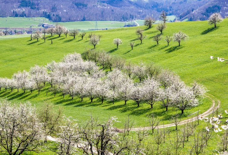 Jura Park Aargau