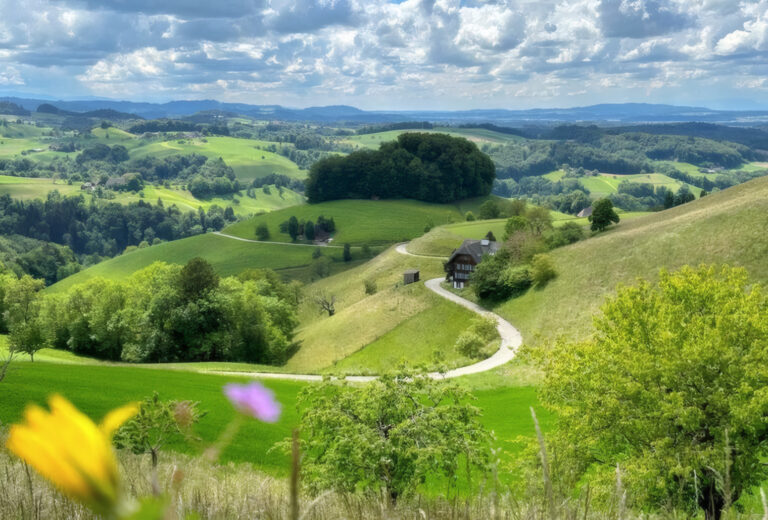 Emmental