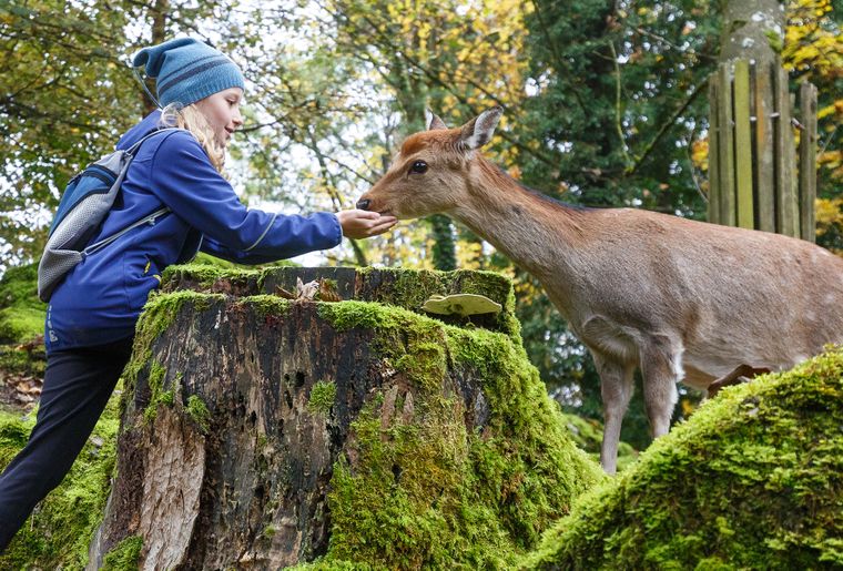 Natur- und Tierpark Goldau im Kanton Schwyz