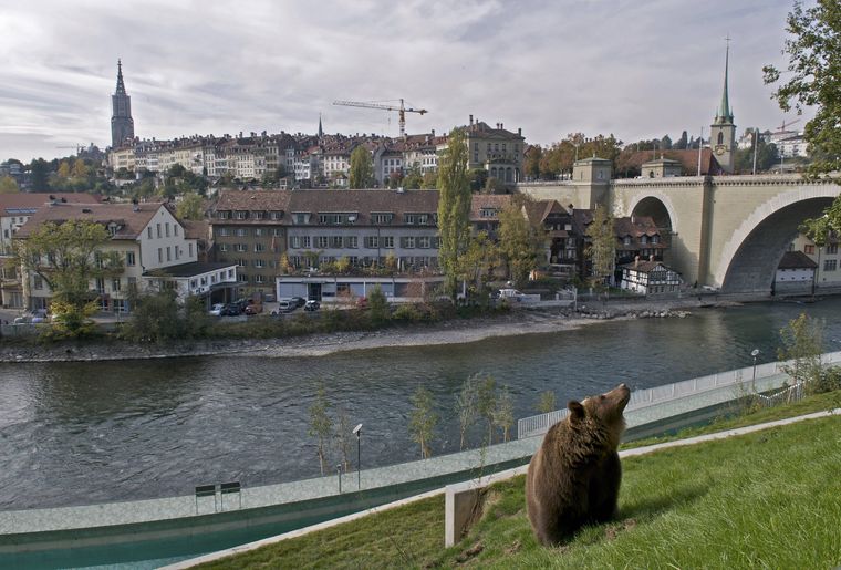 Bern BärenPark