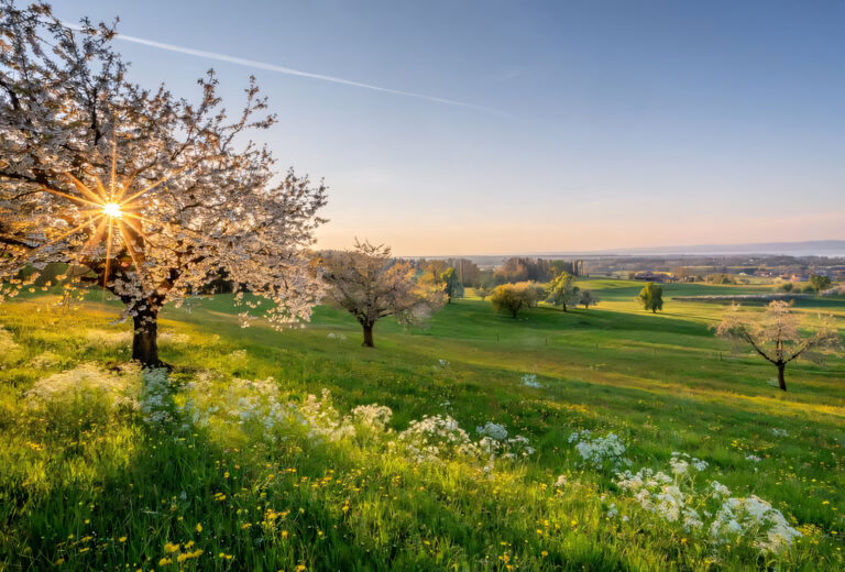 Thurgau