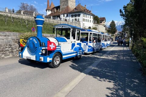 Spiezer Zügli am Thunersee