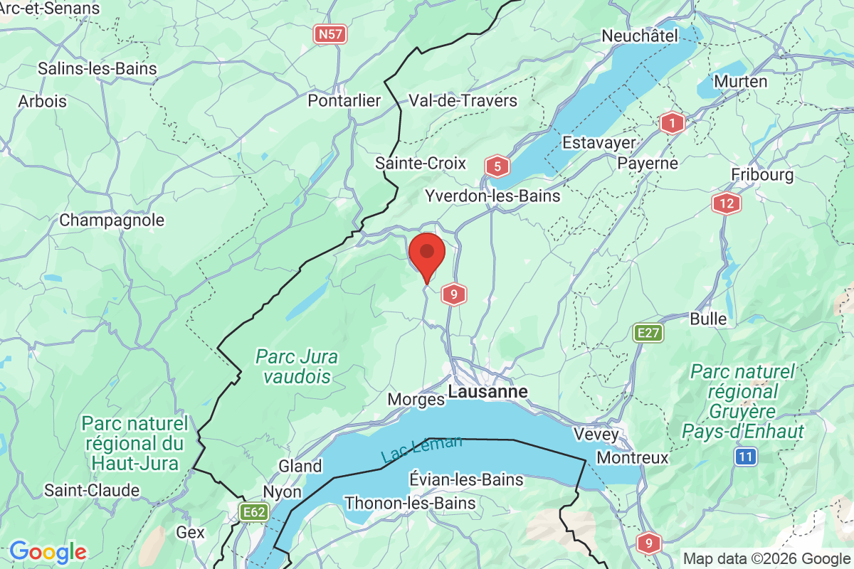 Kartenvorschau