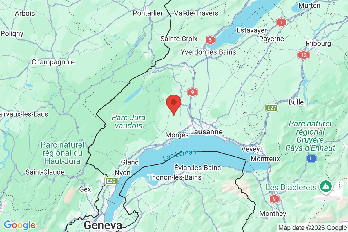 Kartenvorschau